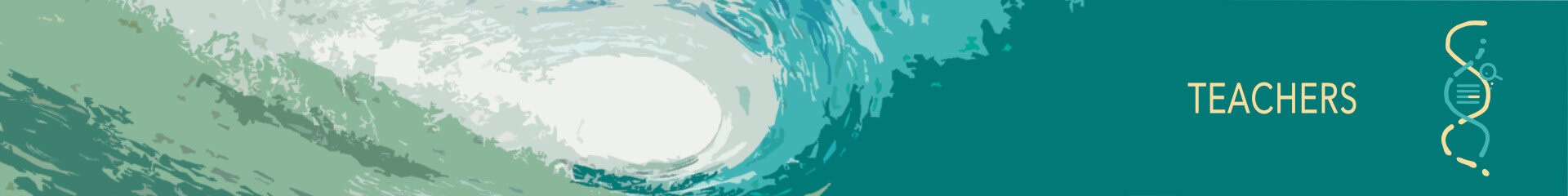 ISFG Summer School Virtual Edition 2025 cover image